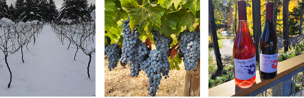 Multiple wine related photos from Freytag Cellars Instagram