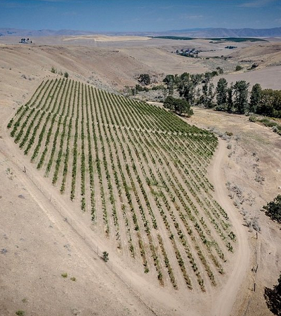 Bolton Family Vineyard, Boyd, Oregon