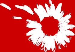 Freytag Designs, Springfield, Oregon Winery, Footer Logo