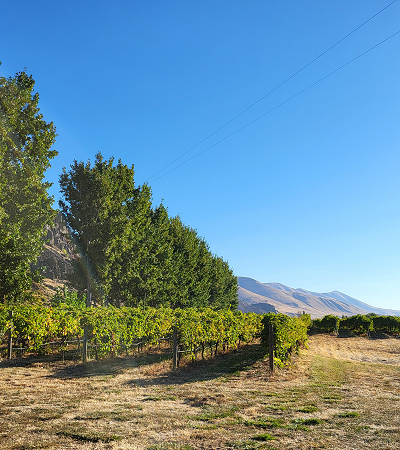 Rockland Flats, Wishram, Washington
